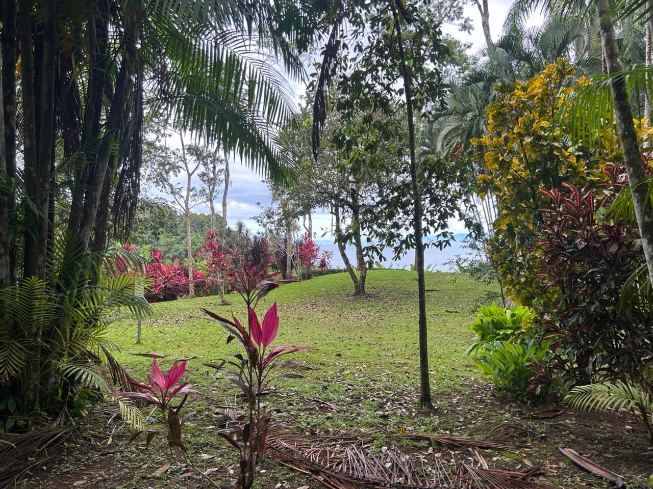 Vue Golfo Dulce